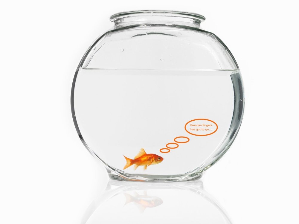 goldfish-swimming-in-a-glass-bowl-2021-08-28-13-04-57-utc.thumb.jpg.8dca03c60938a2eb4c6d759839d4d474.jpg