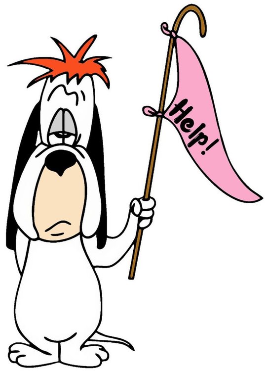 droopy-1-scaled.thumb.jpg.a6471cc22f6b69ca5e91a442d3b41dd0.jpg