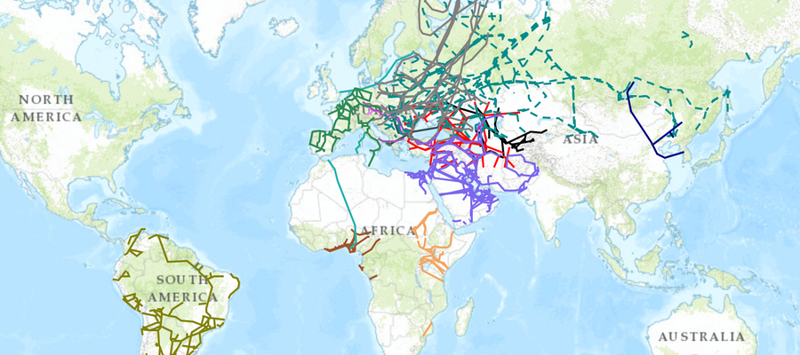 InternationalPipelines.png.2e71dd9869178d077ac539a2ca89a082.png