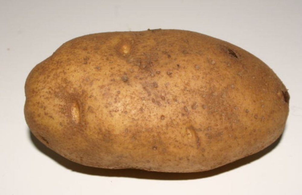 potato.jpg