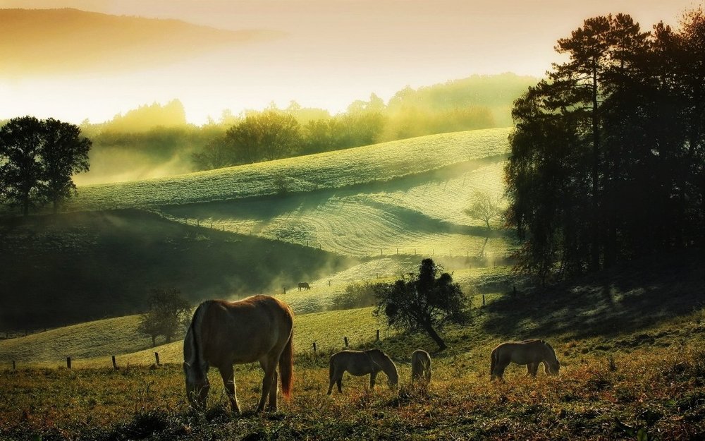 975074-cool-countryside-wallpaper-1920x1200-laptop.jpg